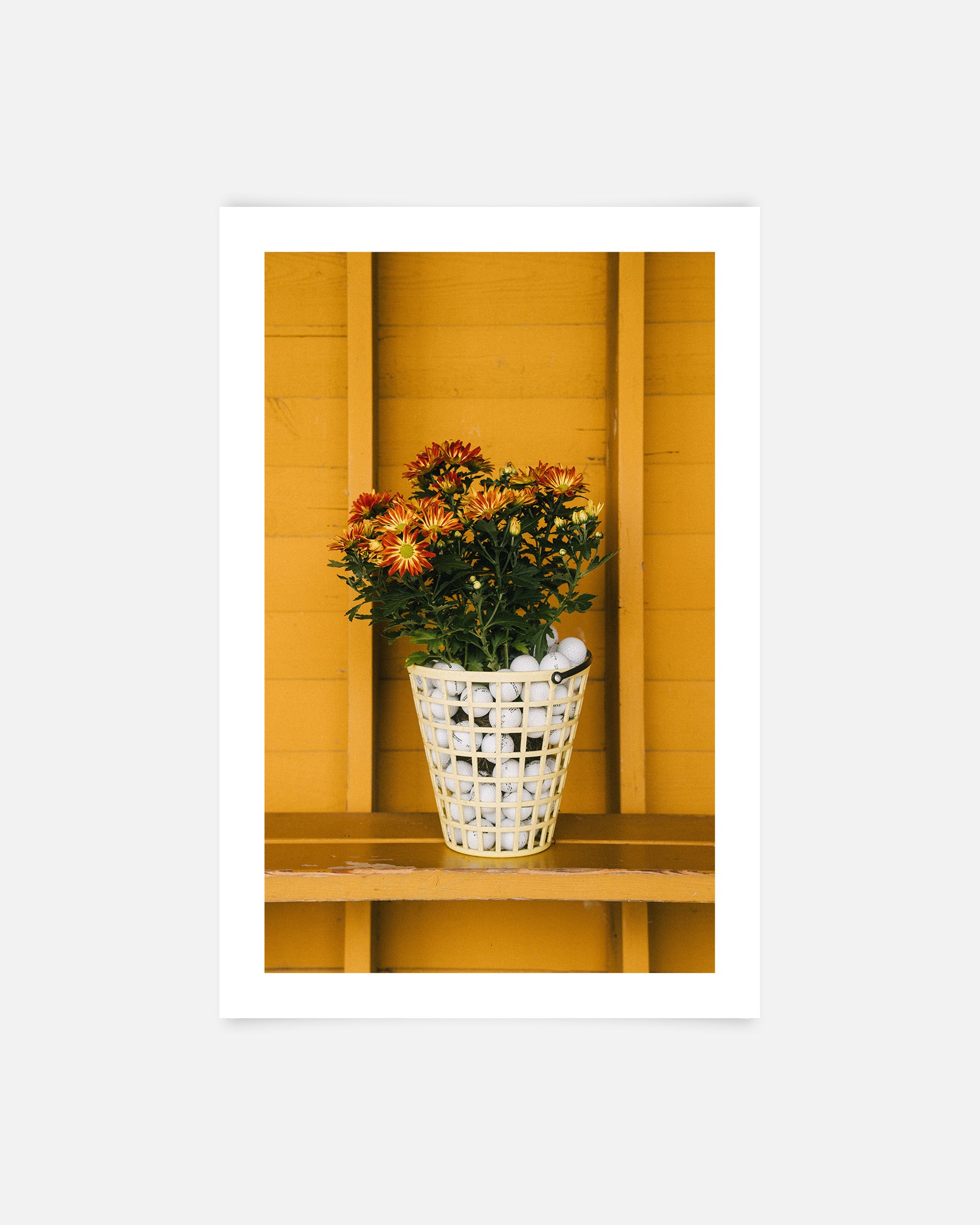 Bouquet