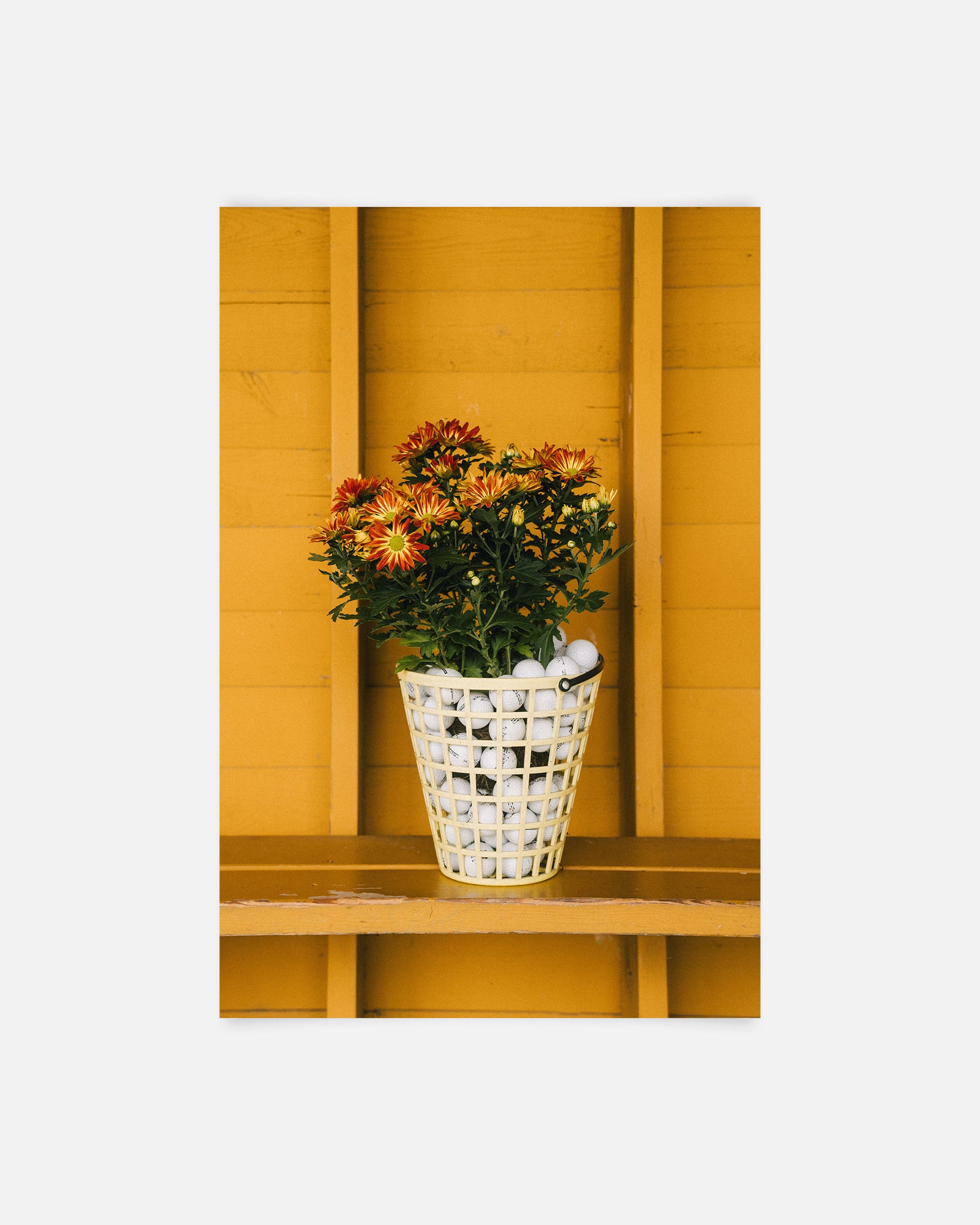 Bouquet