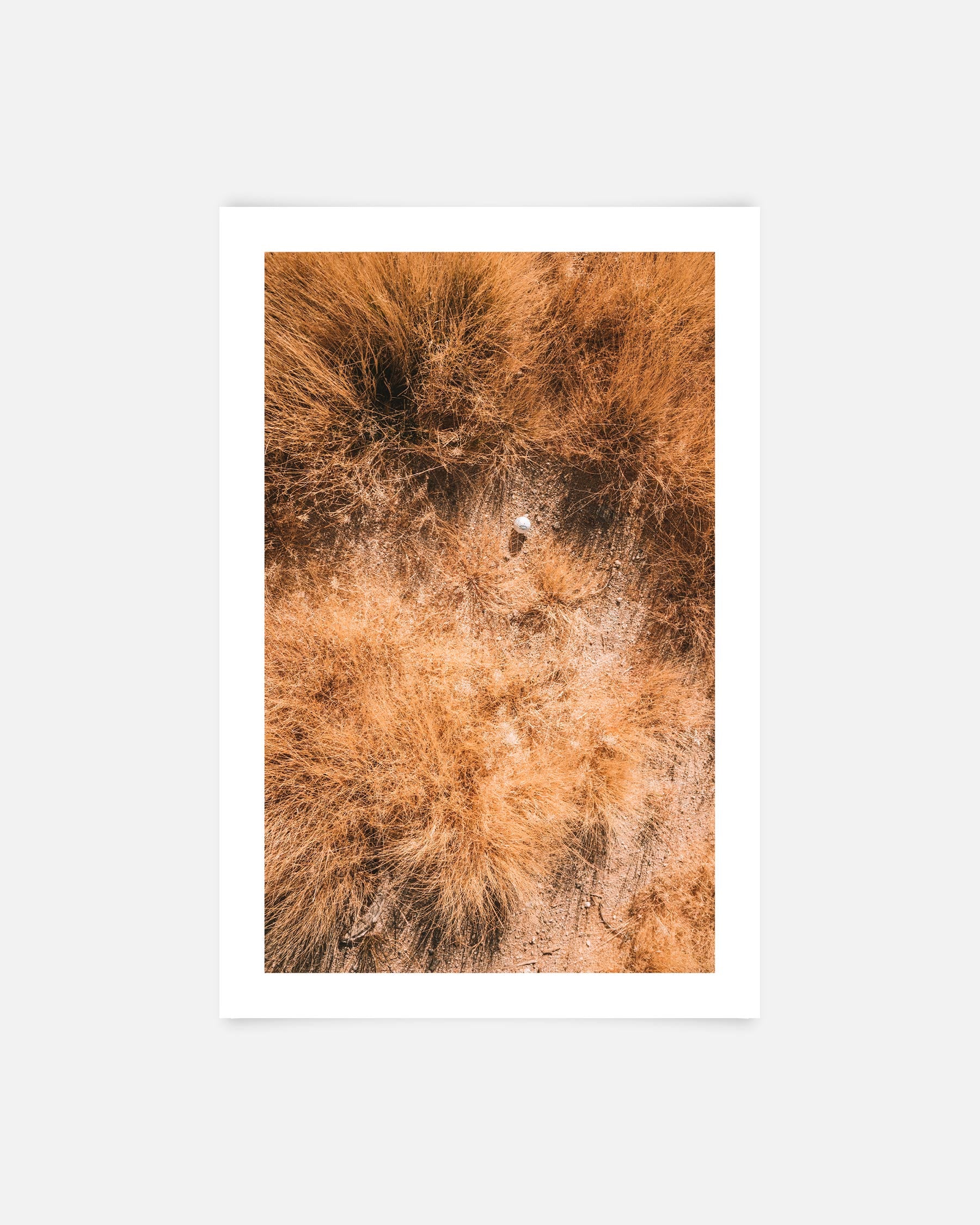 Shatter Grass