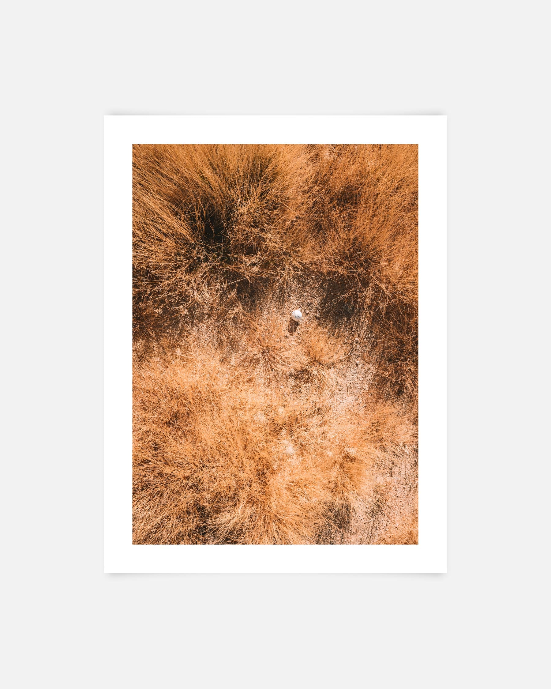 Shatter Grass