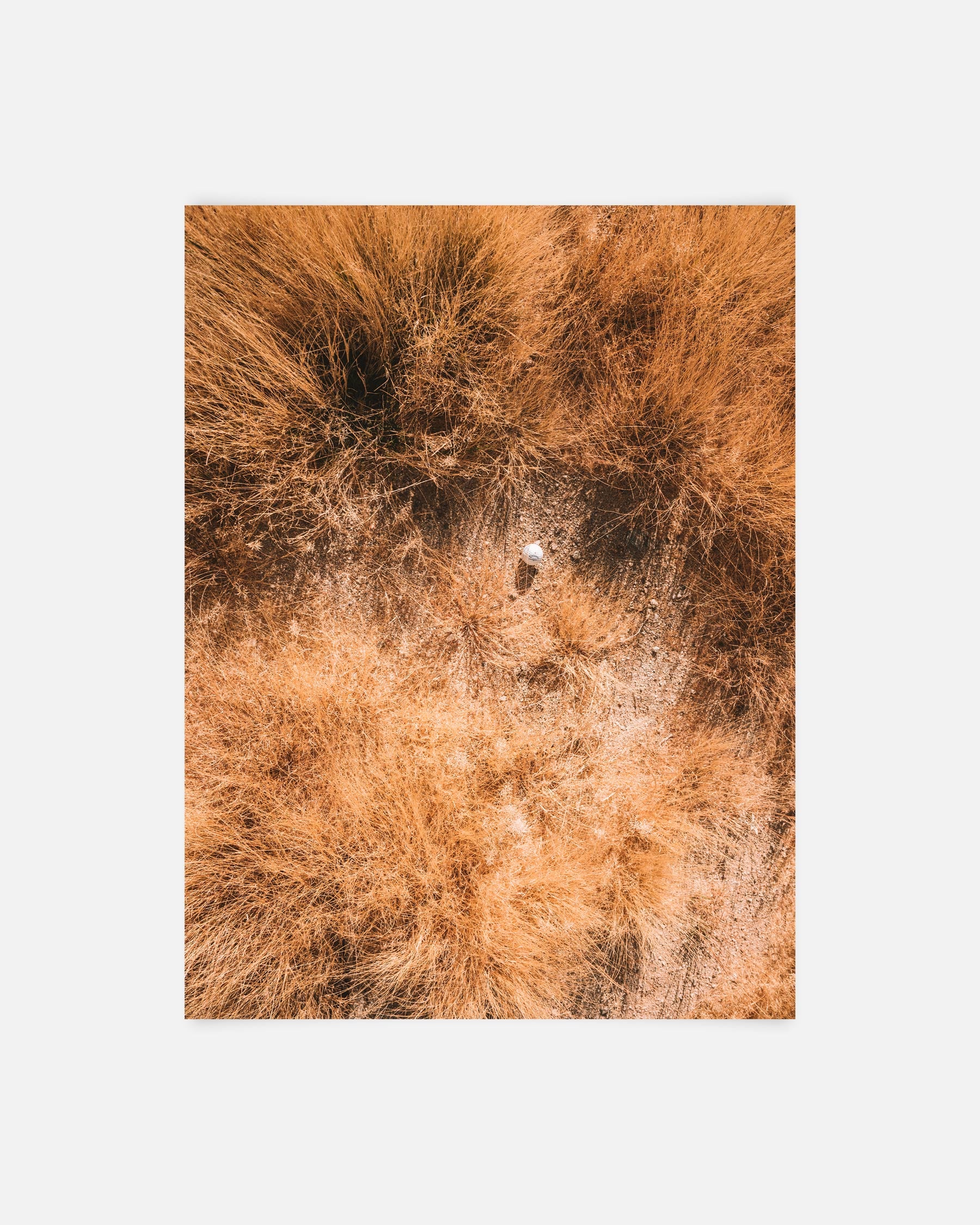 Shatter Grass