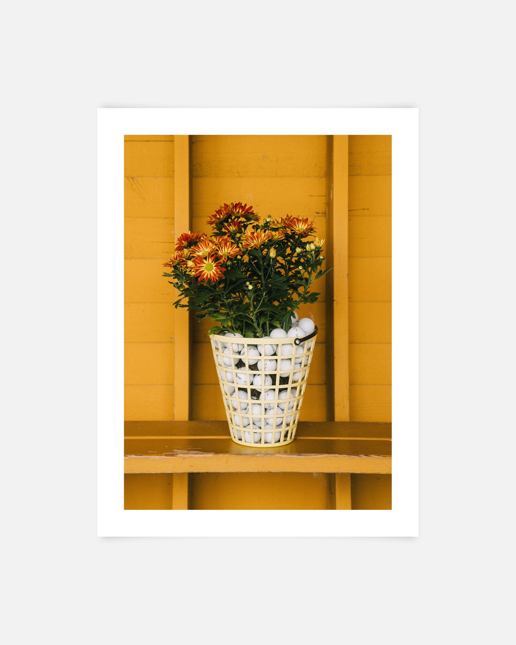 Bouquet