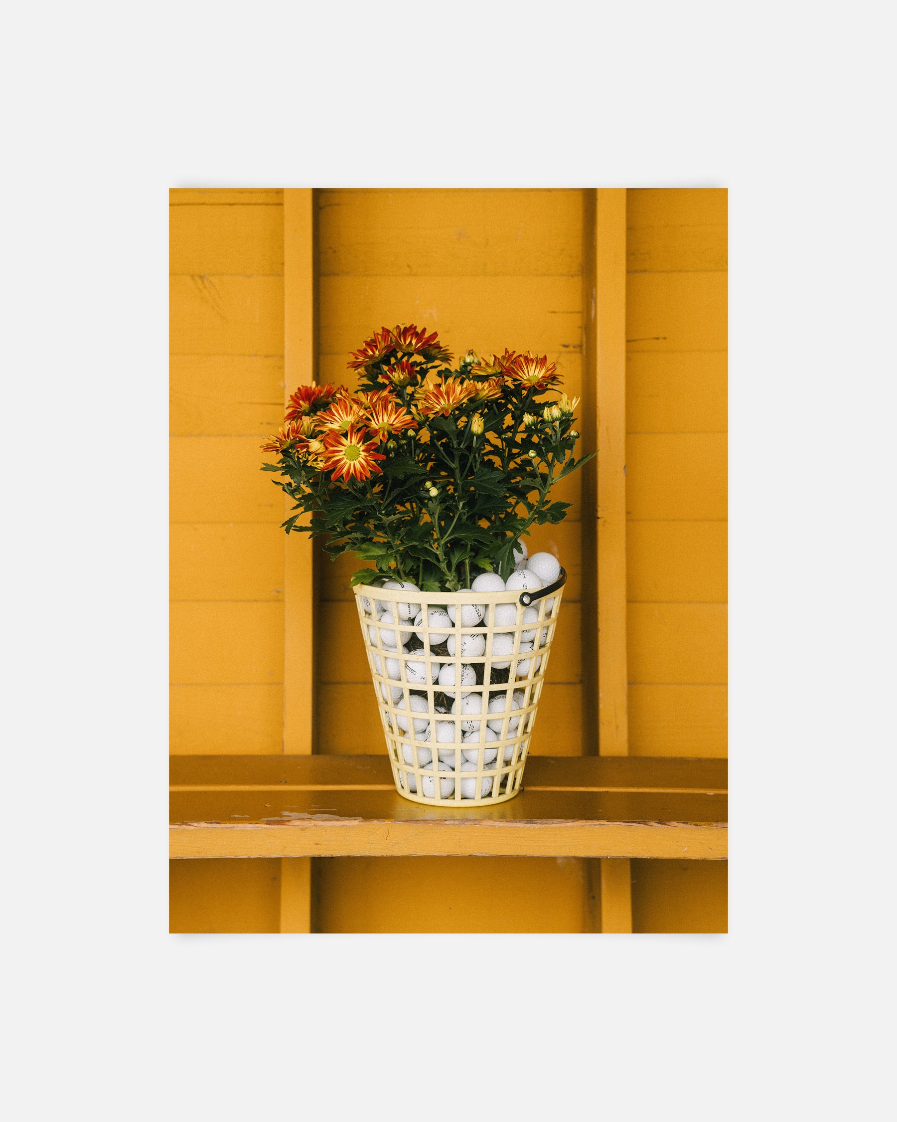 Bouquet